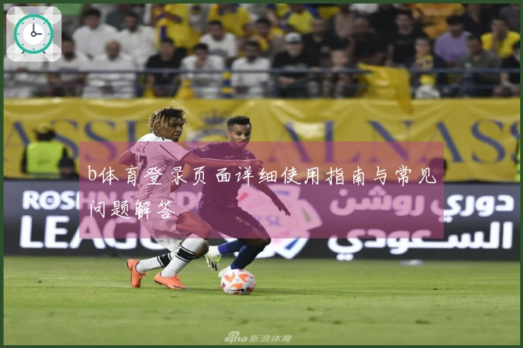 b体育登录页面详细使用指南与常见问题解答