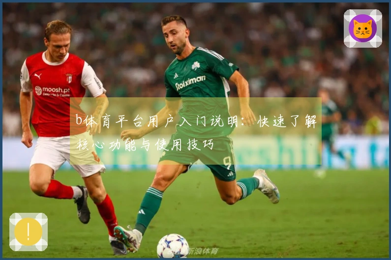 b体育平台用户入门说明：快速了解核心功能与使用技巧
