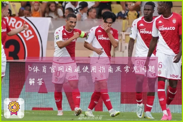 b体育官网通道使用指南及常见问题解答