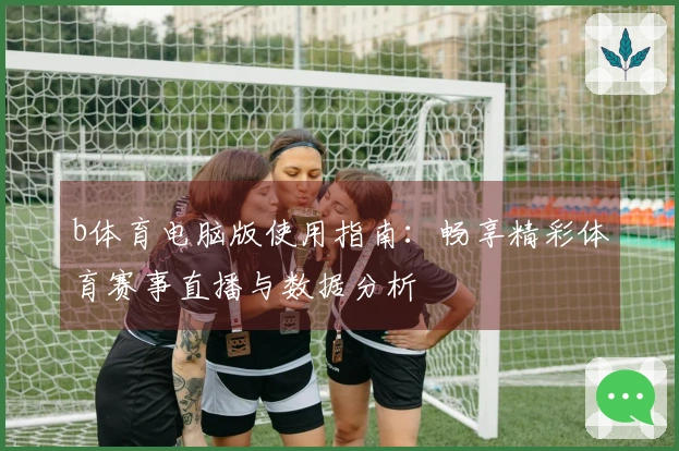 b体育电脑版使用指南：畅享精彩体育赛事直播与数据分析