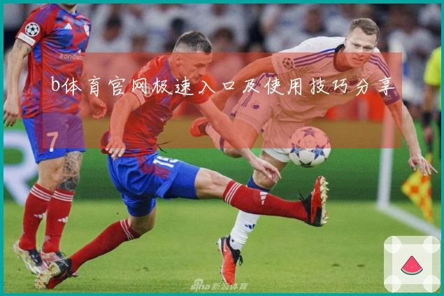 b体育官网极速入口及使用技巧分享