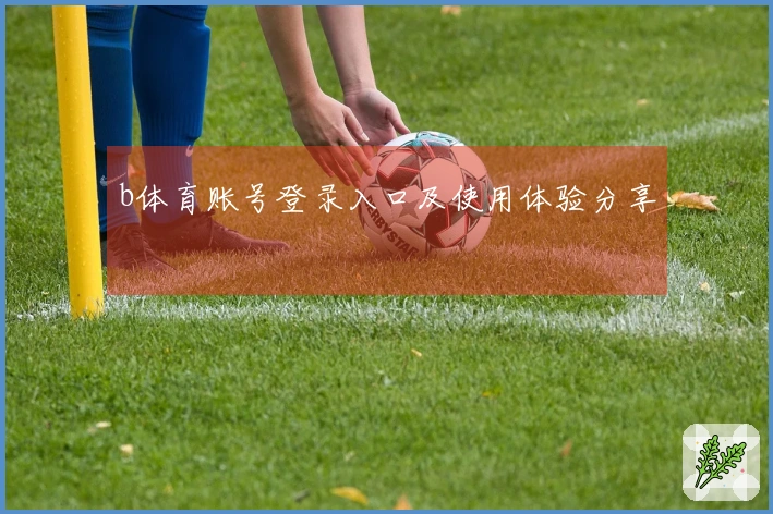 b体育账号登录入口及使用体验分享