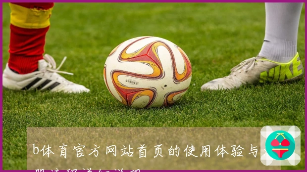 b体育官方网站首页的使用体验与注册流程详细说明
